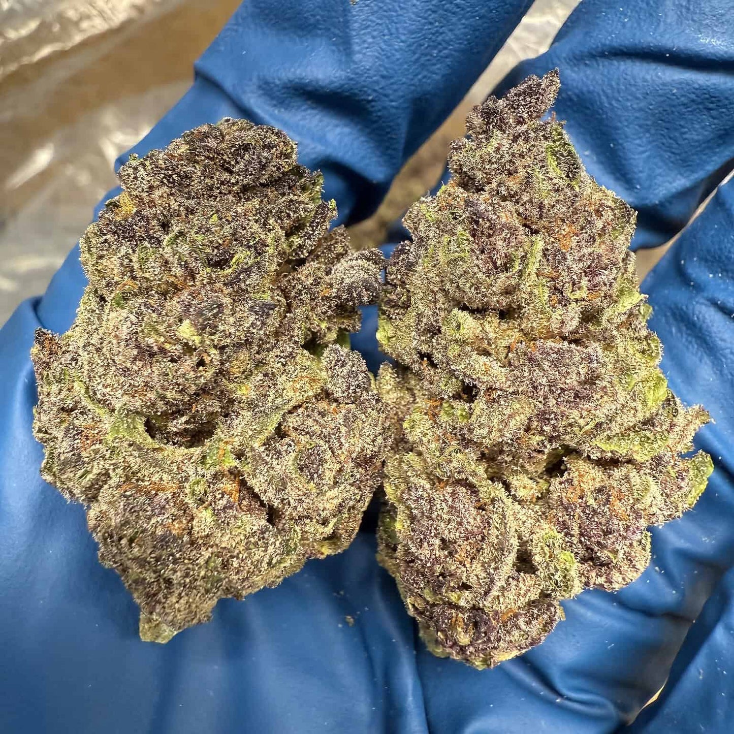 Gorilla Skunk - Indica
