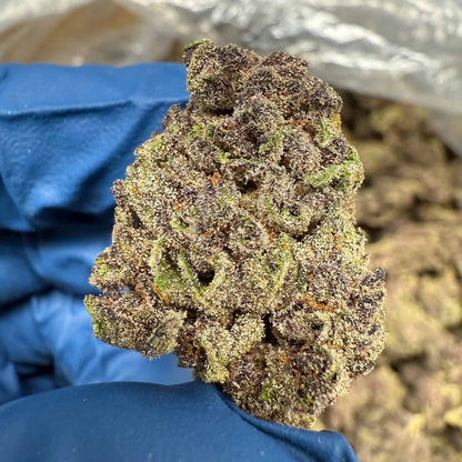 Gorilla Skunk - Indica
