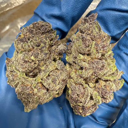 Gorilla Skunk - Indica