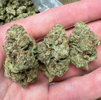 Pandemic Punch - Sativa