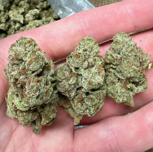 Pandemic Punch - Sativa