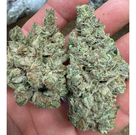 Super Boof - Hybrid